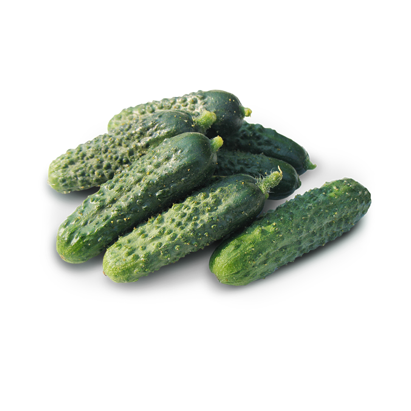 Огірки свіжі, тепличні, короткоплідні (до 14см), ДСТУ 3247, 1 кг